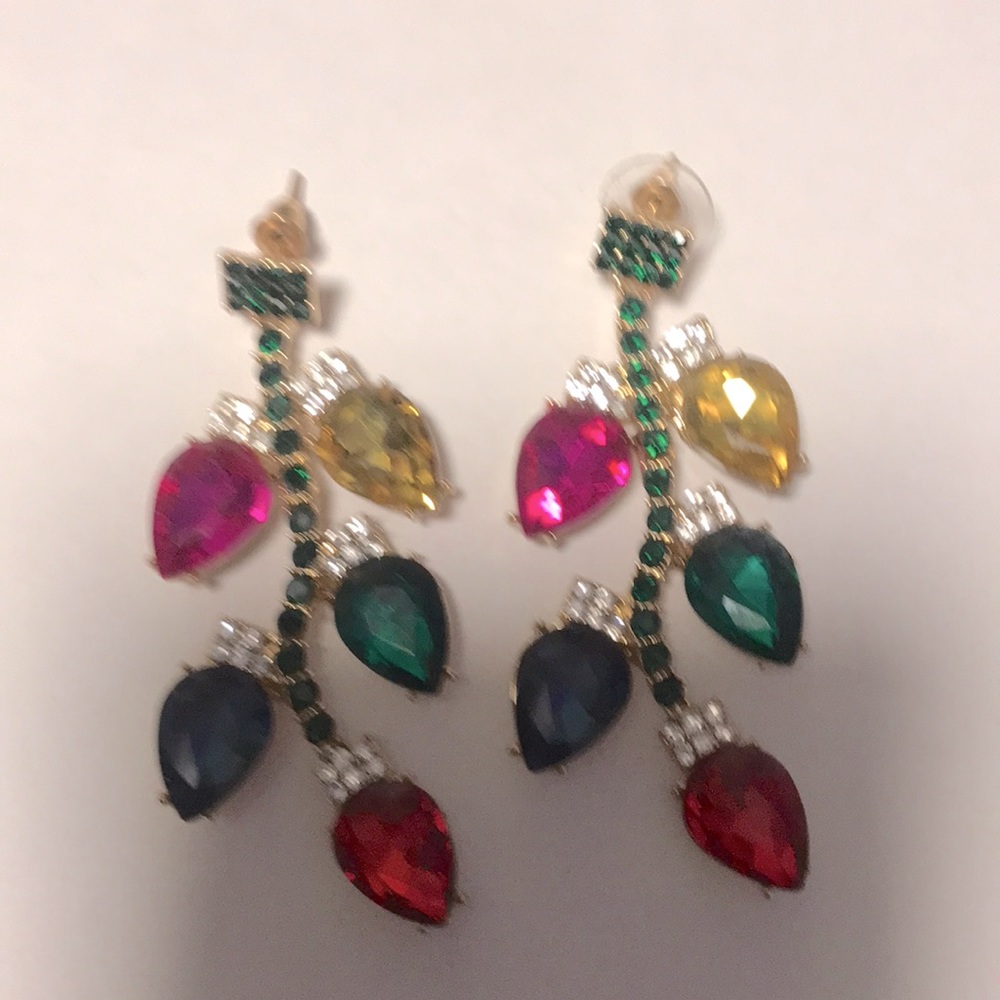 Earrings. Never worn